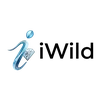 Iwild Casino